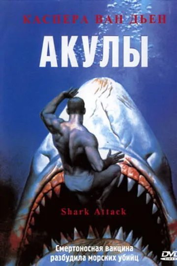 Акулы