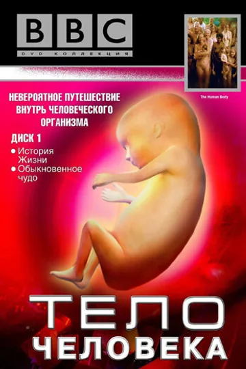 BBC: Тело человека