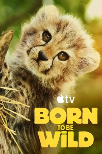 Born to be Wild