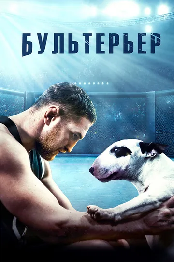 Бультерьер
