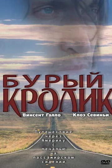 Бурый кролик