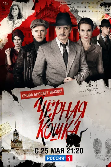 Черная кошка