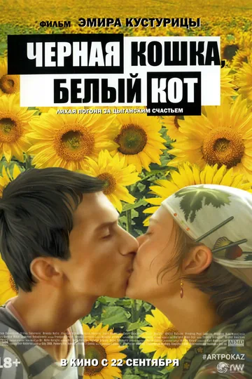 Черная кошка, белый кот