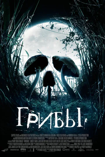 Грибы