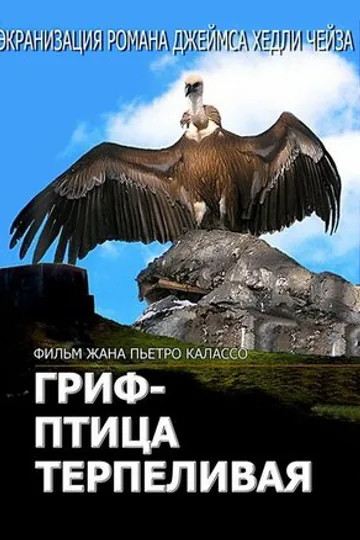 Гриф – птица терпеливая