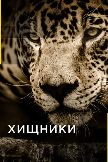 Хищники