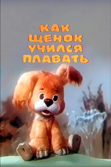 Как щенок учился плавать
