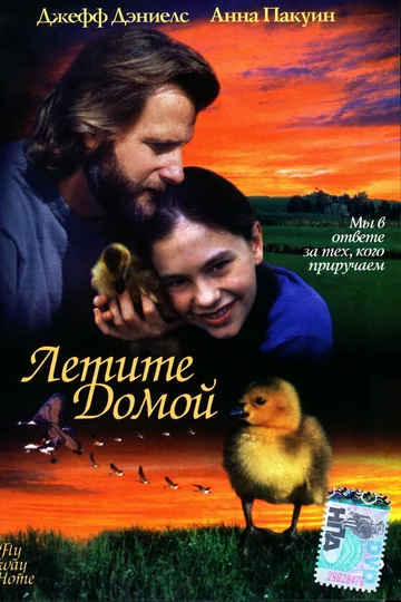 Летите домой