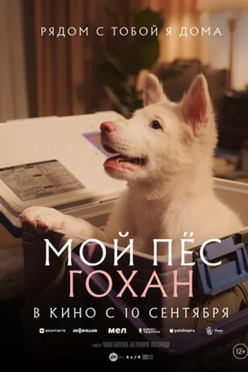 Мой пёс Гохан