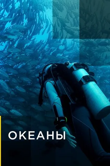 Океаны