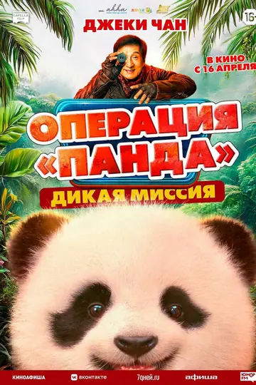 Операция «Панда». Дикая миссия