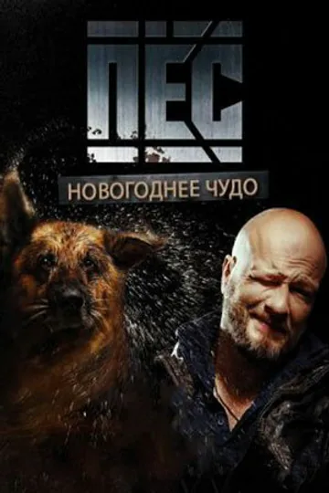 Пёс. Новогоднее чудо