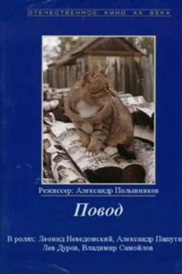 Повод