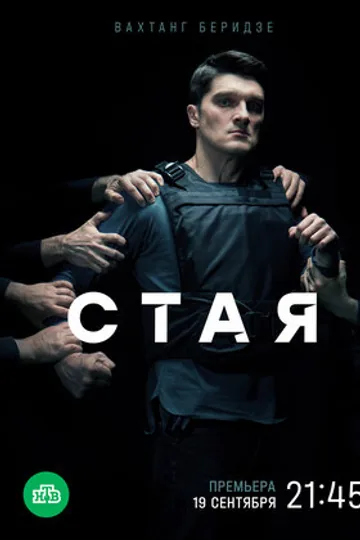 Стая