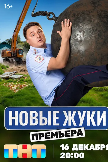 Жуки
